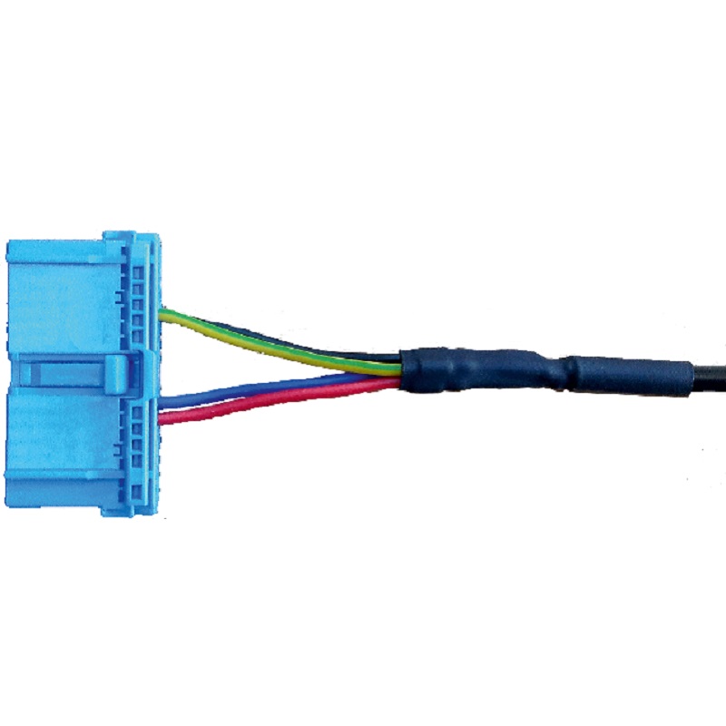VOLVO FH4/FM4 WITH VOLVO A169 VIDEO SWITCH 30-pin C adapter